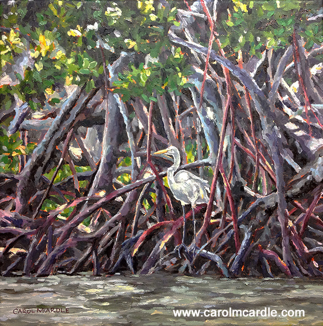 Perched in the Mangroves 12"x12"